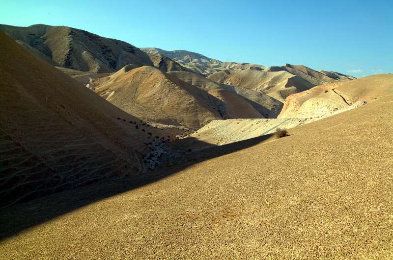 上图:犹大旷野位于犹大山地和约旦河谷之间。从橄榄山东面不远处开始就是绵延的山坡,草木稀疏,人迹罕至,从海拔900多米的犹大山地向东一直下降到海平面以下400多米的死海,南北约长100公里,东西宽约20-25公里。犹大旷野的地势由西至东下降约1300米,开始是许多平滑光秃的白垩山头连绵起伏,溪谷与沟壑纵横交错,靠近死海时逐渐变成陡峭的峡谷,到死海边成为嶙峋的悬崖。犹大旷野位于中央山地分水岭以东,地中海的雨云由西吹来,大部份雨水落在分水岭西面,分水岭东面的犹大旷野非常干旱,又有干燥的东风吹刮,雨季才偶尔有阵雨。在雨季的几个星期,干涸的旱溪(Wadi)中会激流奔涌,旷野中会长出少许植物。 大卫曾在犹大旷野躲避扫罗和押沙龙的追杀(撒上二十三14,24;二十四1;撒下十五23),他将犹大旷野描述为「干旱疲乏无水之地」(诗六十三1)。每年赎罪日,「归于阿撒泻勒的山羊」从圣殿被放到犹大旷野(利十六10)。以西结在异象中看见一条溪流从圣殿流出,经过这片旷野,灌溉两岸繁茂的树木(结四十七1-10)。施洗约翰在死海北面的那片犹大旷野开始传道(太三1-6),主耶稣很可能也在犹大旷野受魔鬼引诱(太四1)。